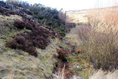 Coke ovens bridge abutments, Big Pit, March 2010